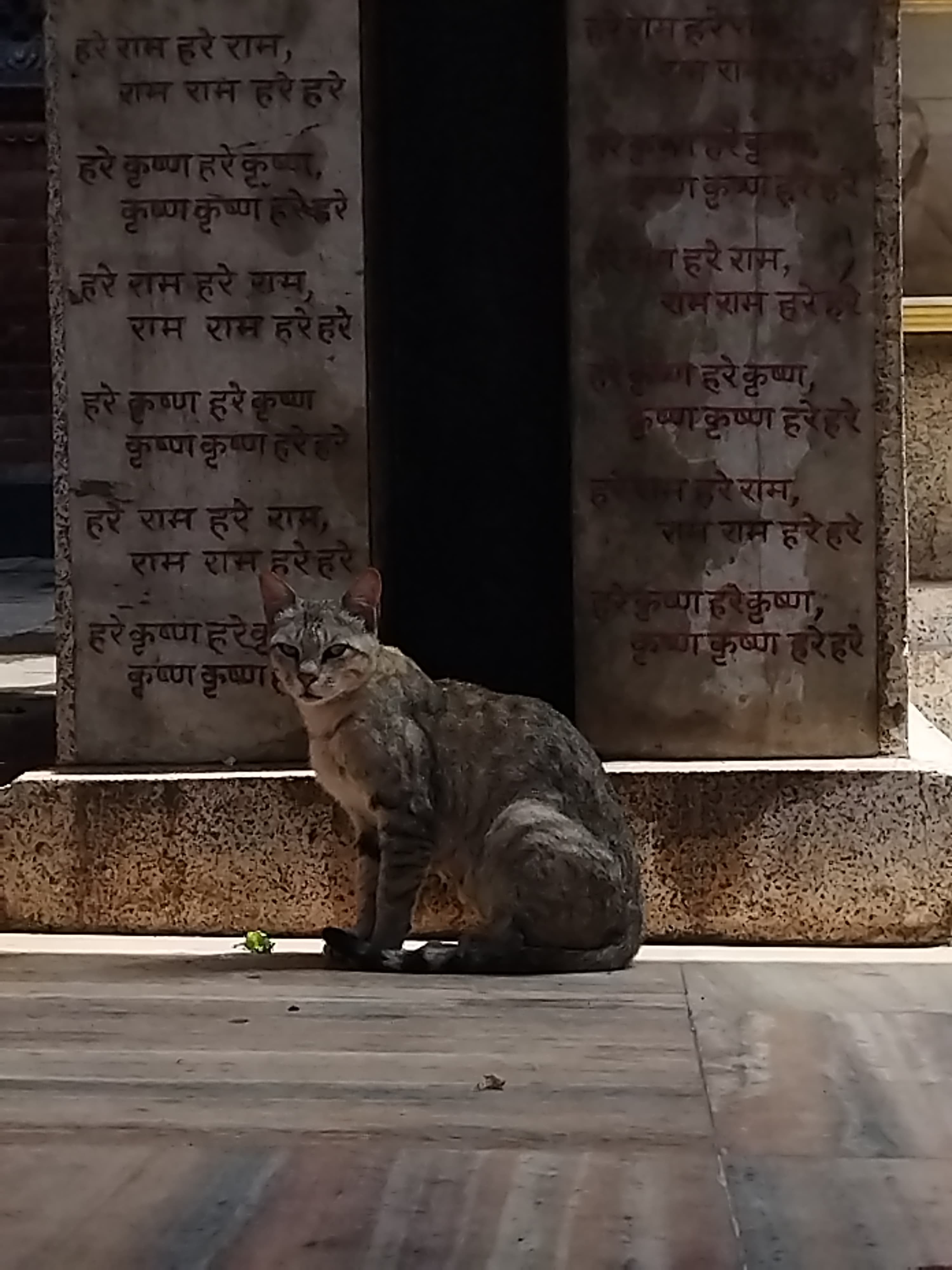 Urban & Nature - Photography